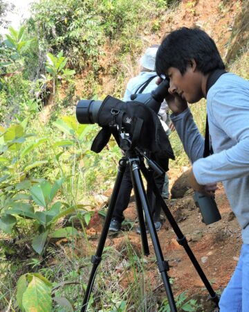 Nature Tours 